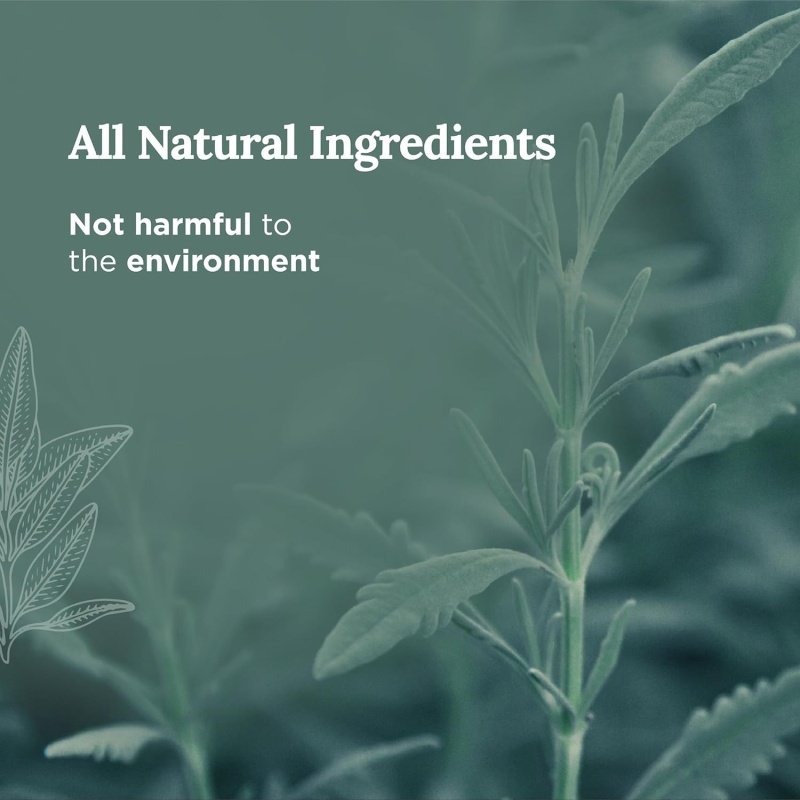 Magnificent 101 Long Lasting Pure White Sage Candle - Image 3